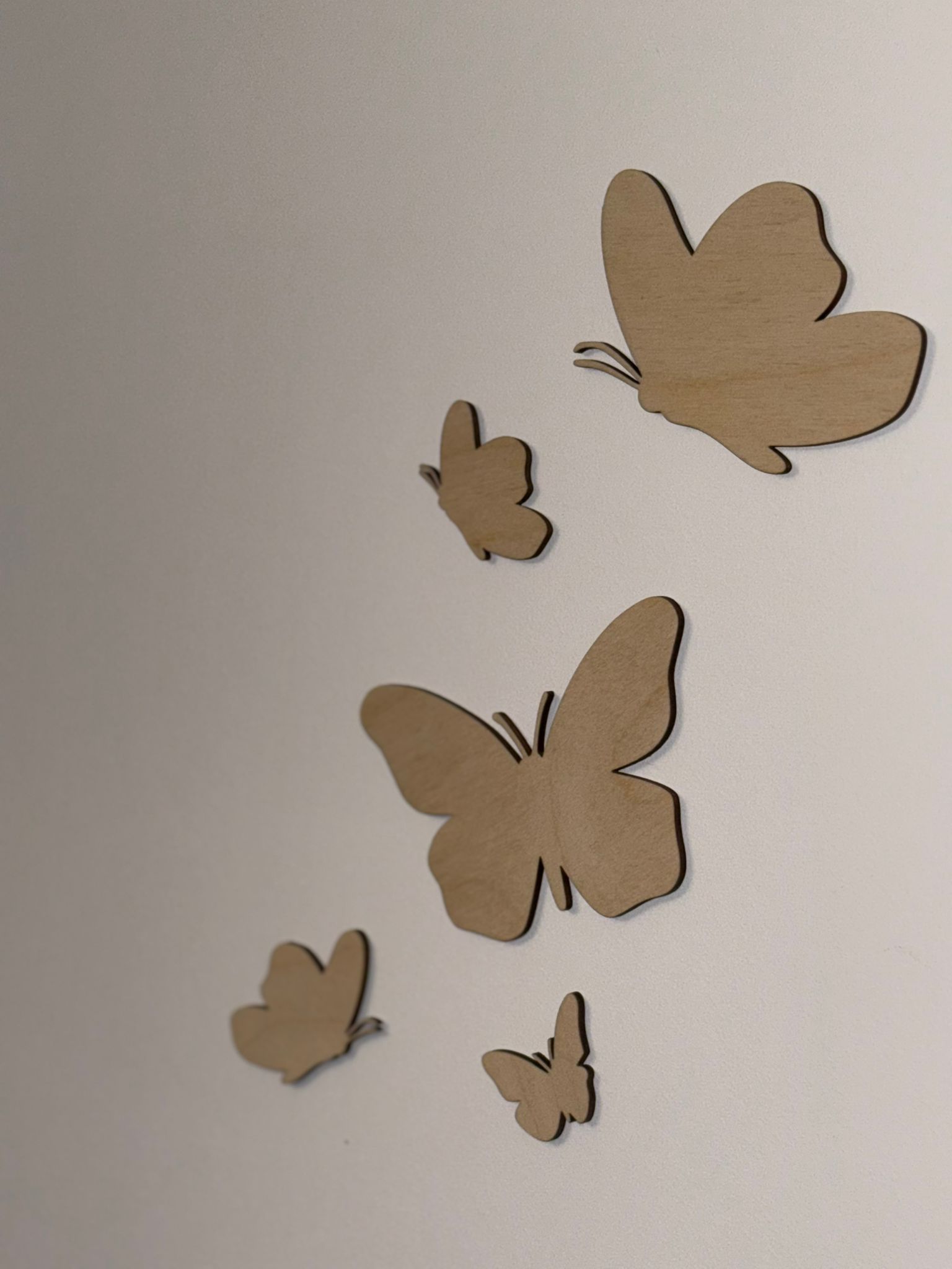 Motyle dekoracyjne - obrazek 3