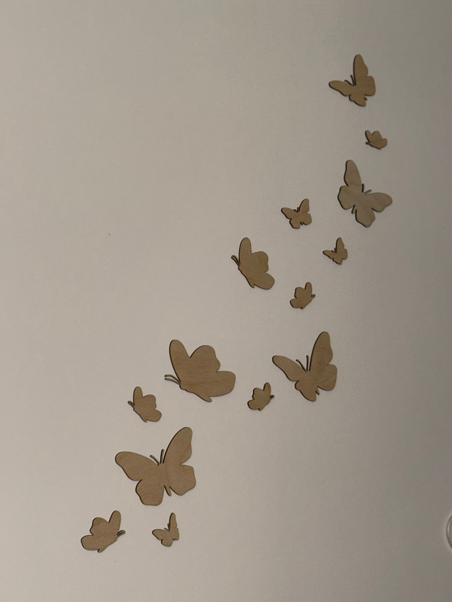 Motyle dekoracyjne - obrazek 2